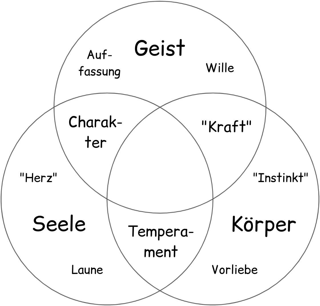Wertemodell